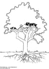 Malvorlagen Baum