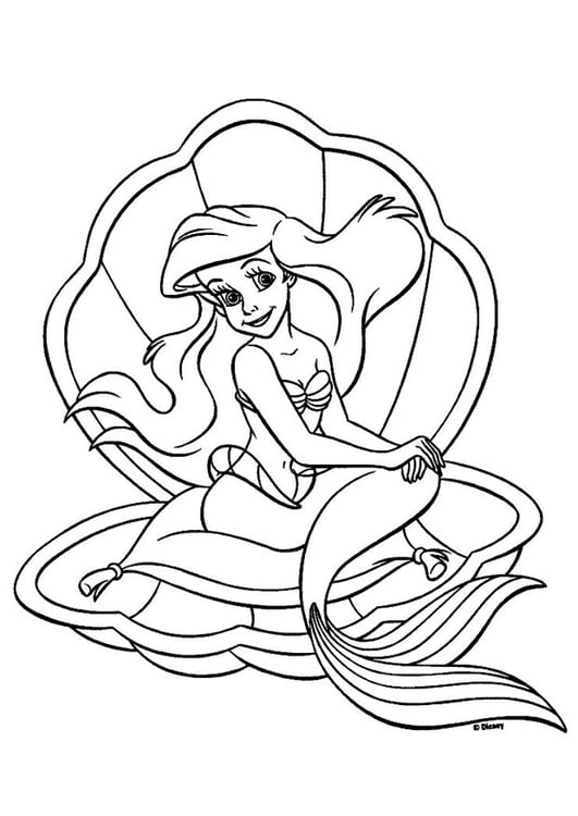Malvorlage  Die kleine Meerjungfrau - Ariel