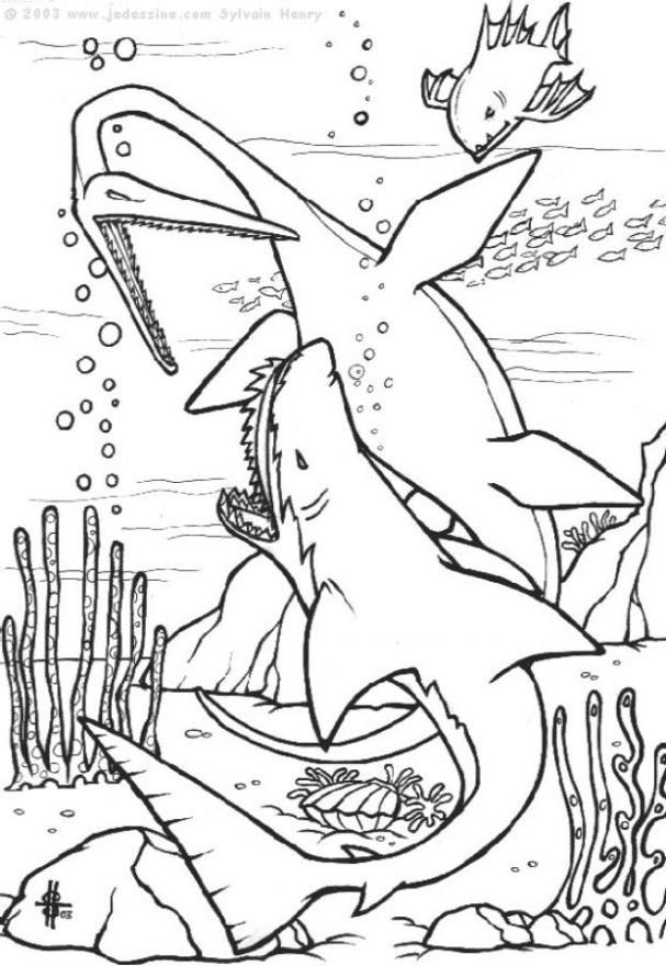 Malvorlage Dinosaurier Unterwasser  Ausmalbild 6440.
