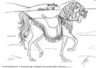 Malvorlagen Dressur Pferd