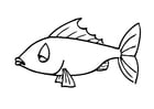 Malvorlagen Fisch