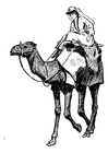 Malvorlagen Frau auf Kamel