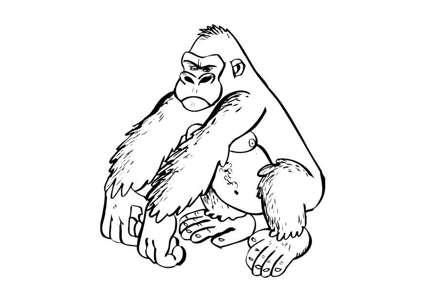 Malvorlage Gorilla Ausmalbild 9682.