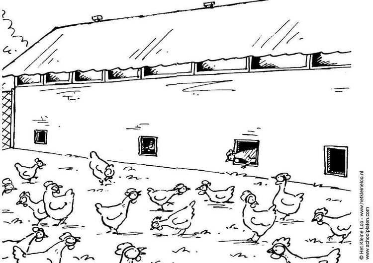 malvorlage hühnerstall  ausmalbild 3809