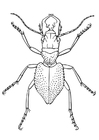 Malvorlagen Käfer