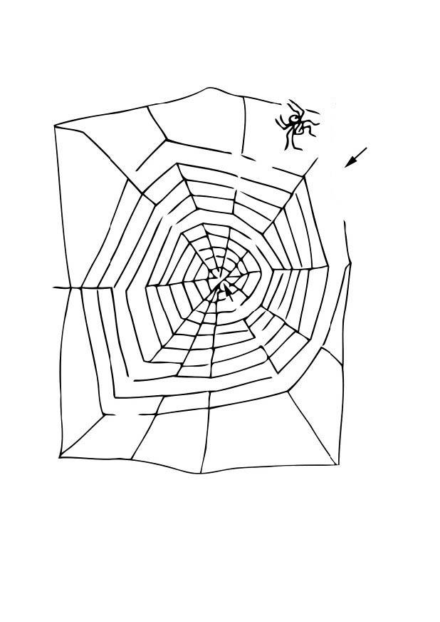 malvorlage labyrinth spinne  ausmalbild 12518