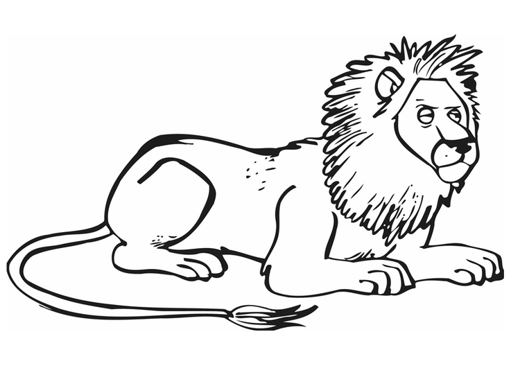 malvorlage löwe  ausmalbild 12841