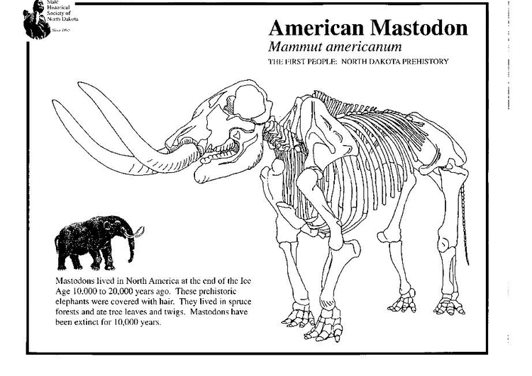 Malvorlage  Mastodon