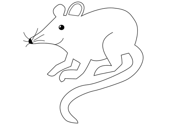 Malvorlage  Maus