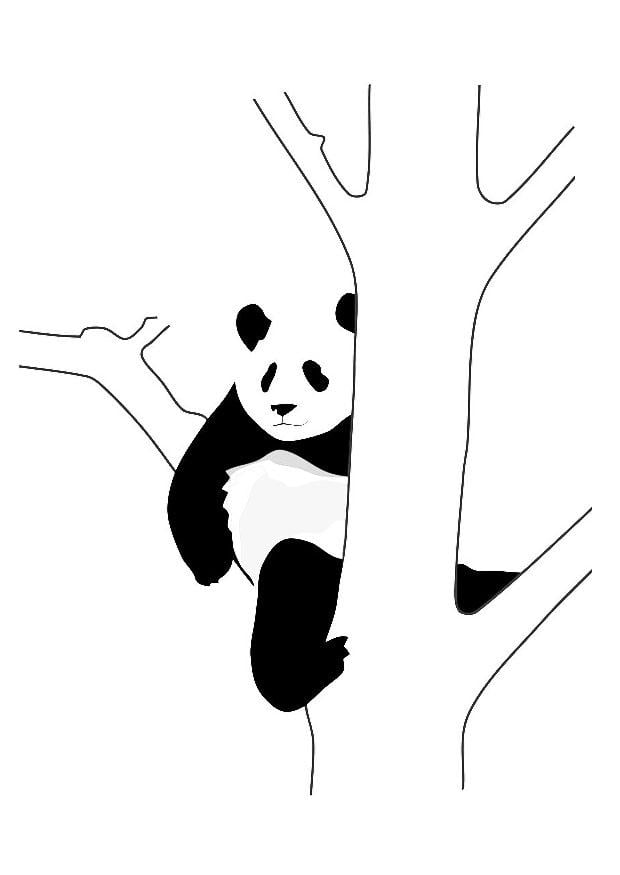 malvorlage pandabär im baum  ausmalbild 19628