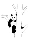 Malvorlagen Pandabär im Baum