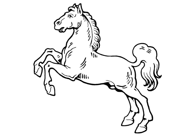 malvorlage pferd  ausmalbild 19310