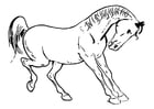 Malvorlagen Pferd