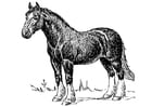 Malvorlagen Pferd