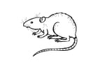 Malvorlagen Ratte