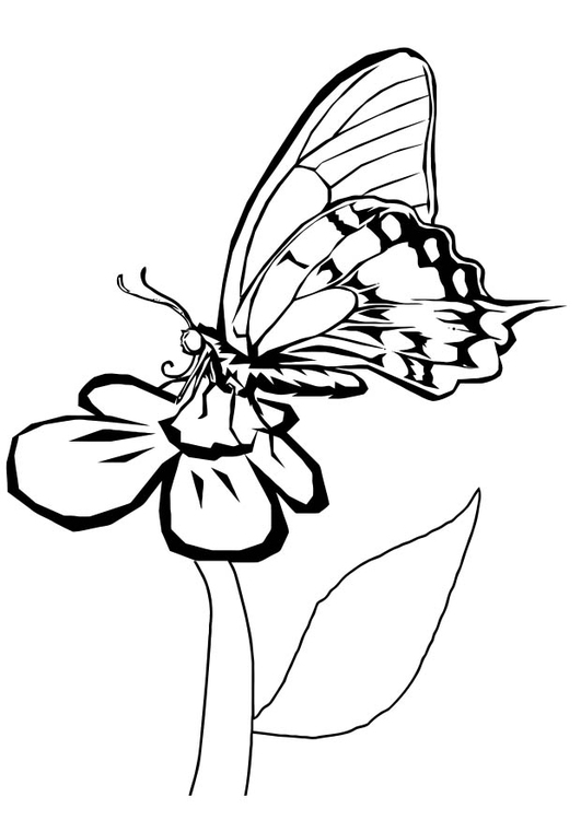 Malvorlage  Schmetterling auf Blume