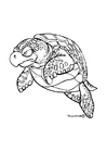 Malvorlagen Seeschildkröte