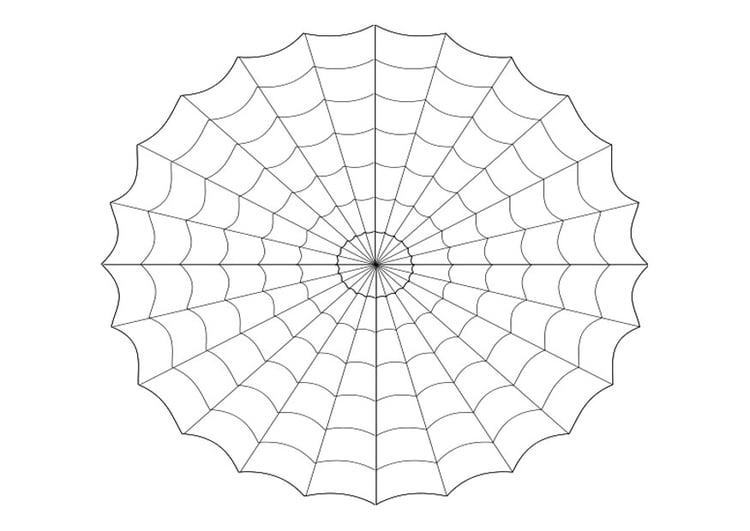 Malvorlage  Spinnennetz