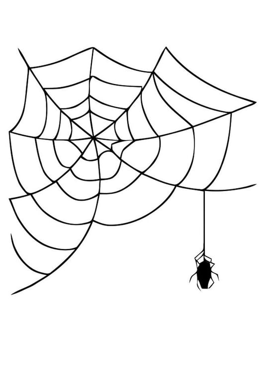 Malvorlage  Spinnenwebe mit Spinne