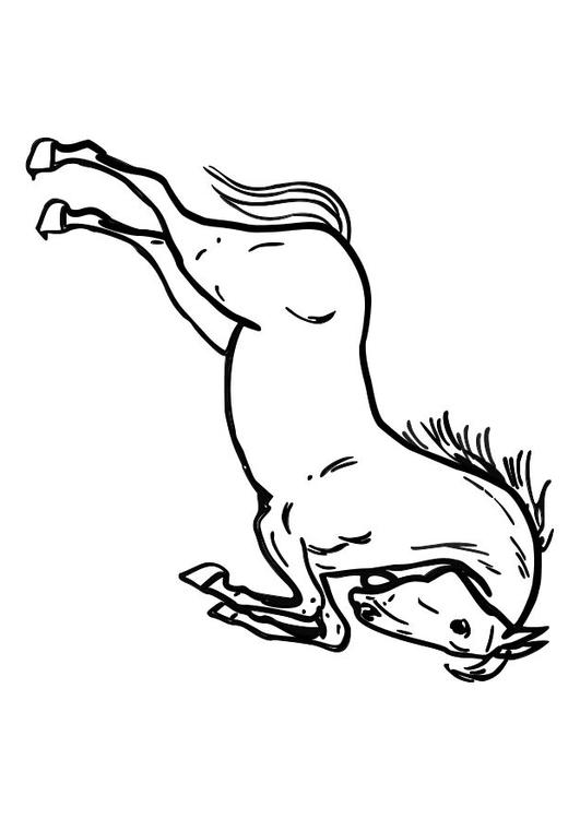 springendes Pferd