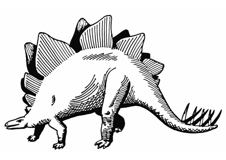 Malvorlage  Stegosaurus