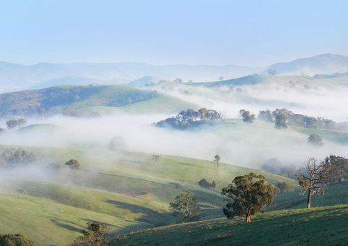 Morgennebel