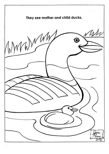 Naturpark Enten