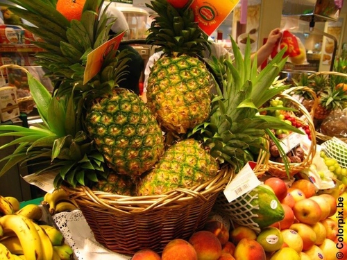 Obst