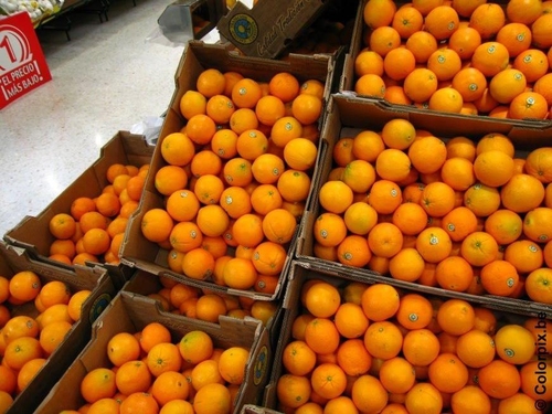Orangen