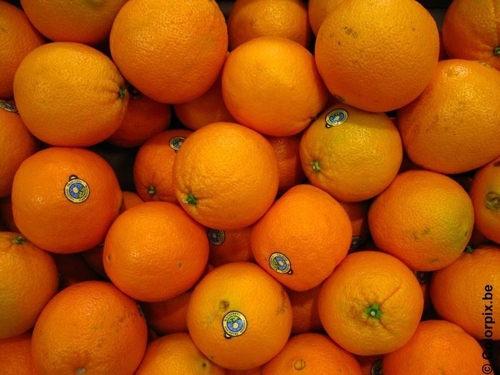 Foto Orangen