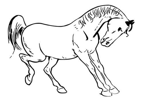 Pferd