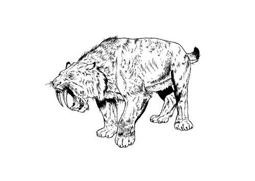 Säbelzahltiger