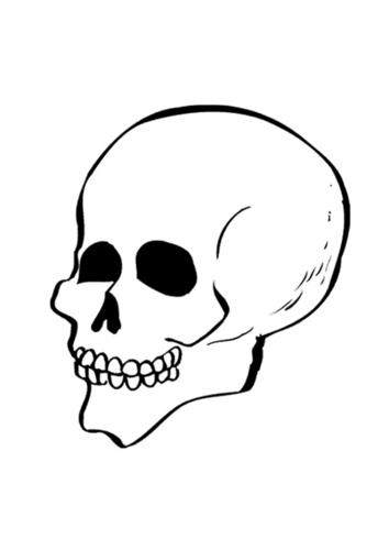 Malvorlage  Schädel