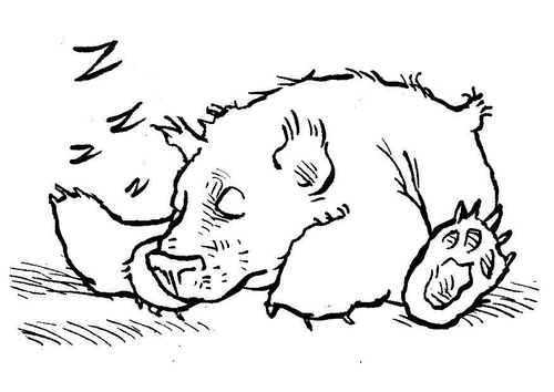 Malvorlage  schlafender Bär