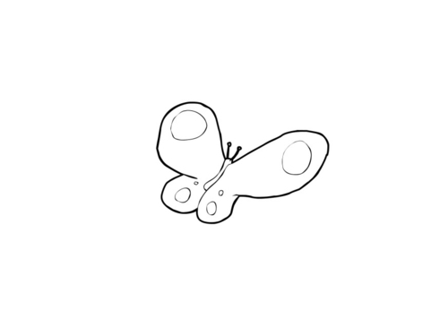Schmetterling