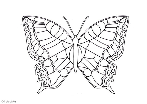 Schmetterling