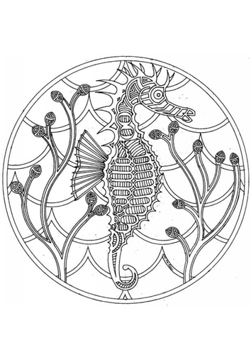seepferdchen