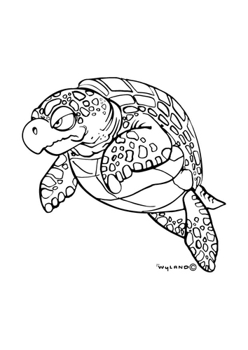 Seeschildkröte
