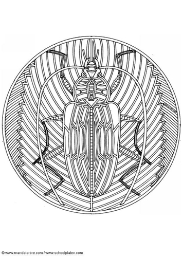 Malvorlage  Skarabäus