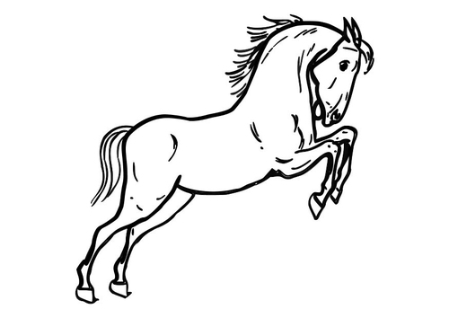 springendes Pferd