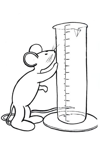 Transi, die Maus