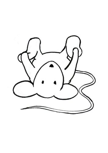 Transi, die Maus