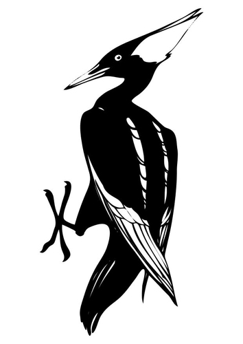Vögel