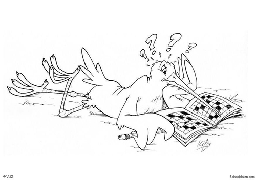 Vogel mit Kreuzworträtsel