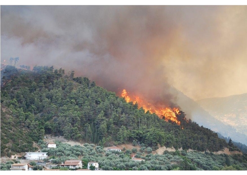 Waldbrand