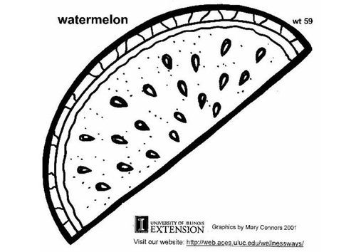Wassermelone