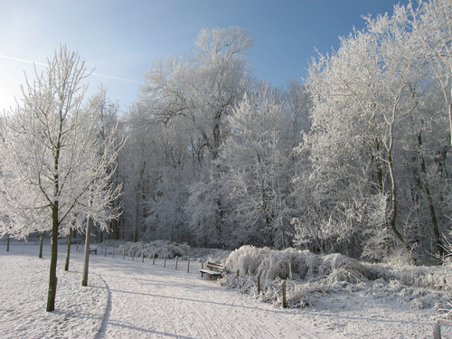 Winter