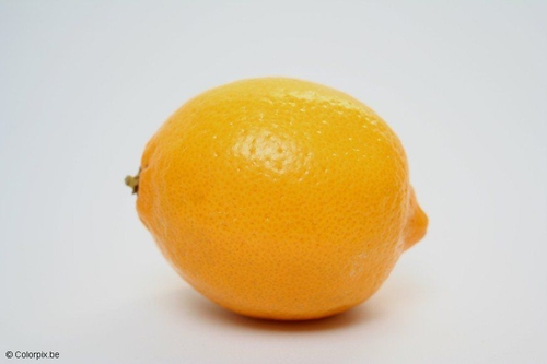 Zitrone