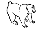 Malvorlage affe