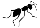 Malvorlage ameise